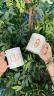 Caneca Personalizada